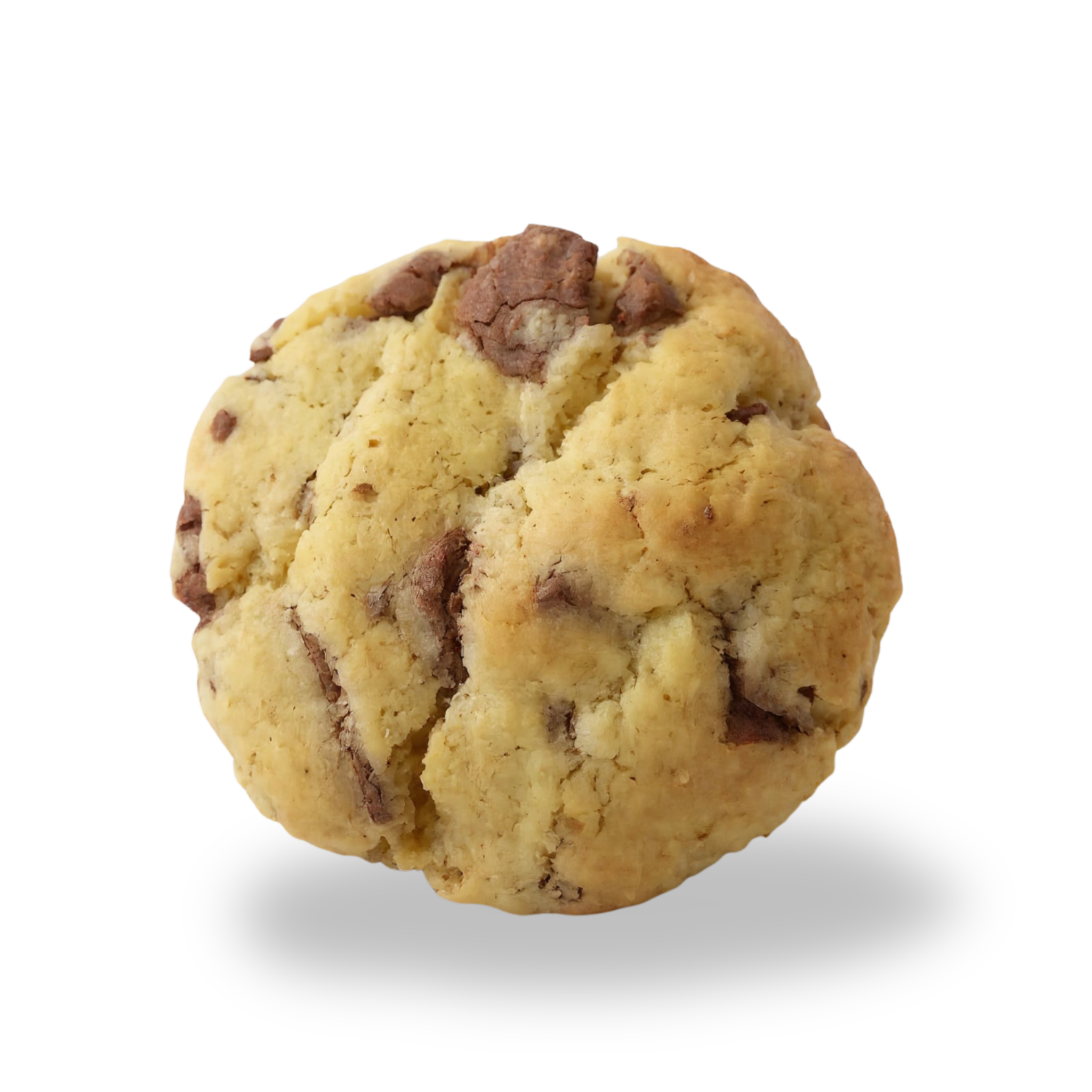 Chocolate Chip