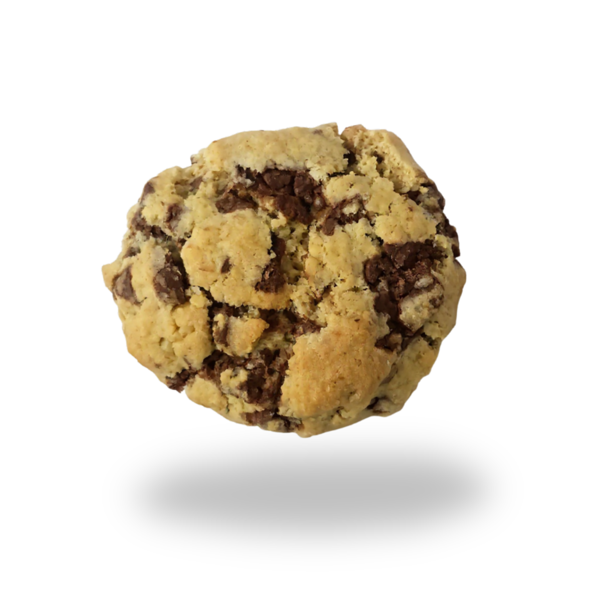 Walnut Chocolate Chip XL